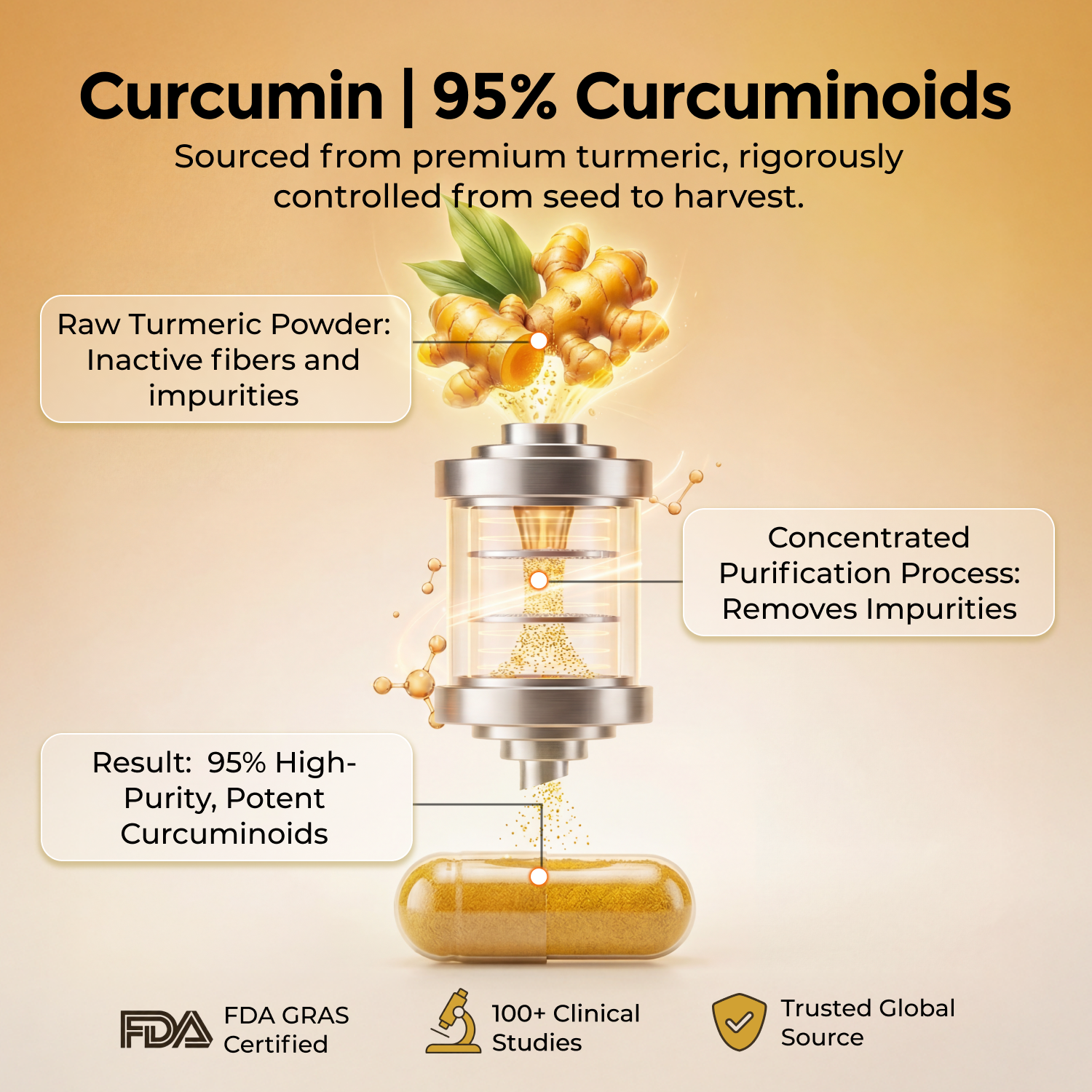 Turmeric Curcumin Supplement with Black Pepper & Ginger