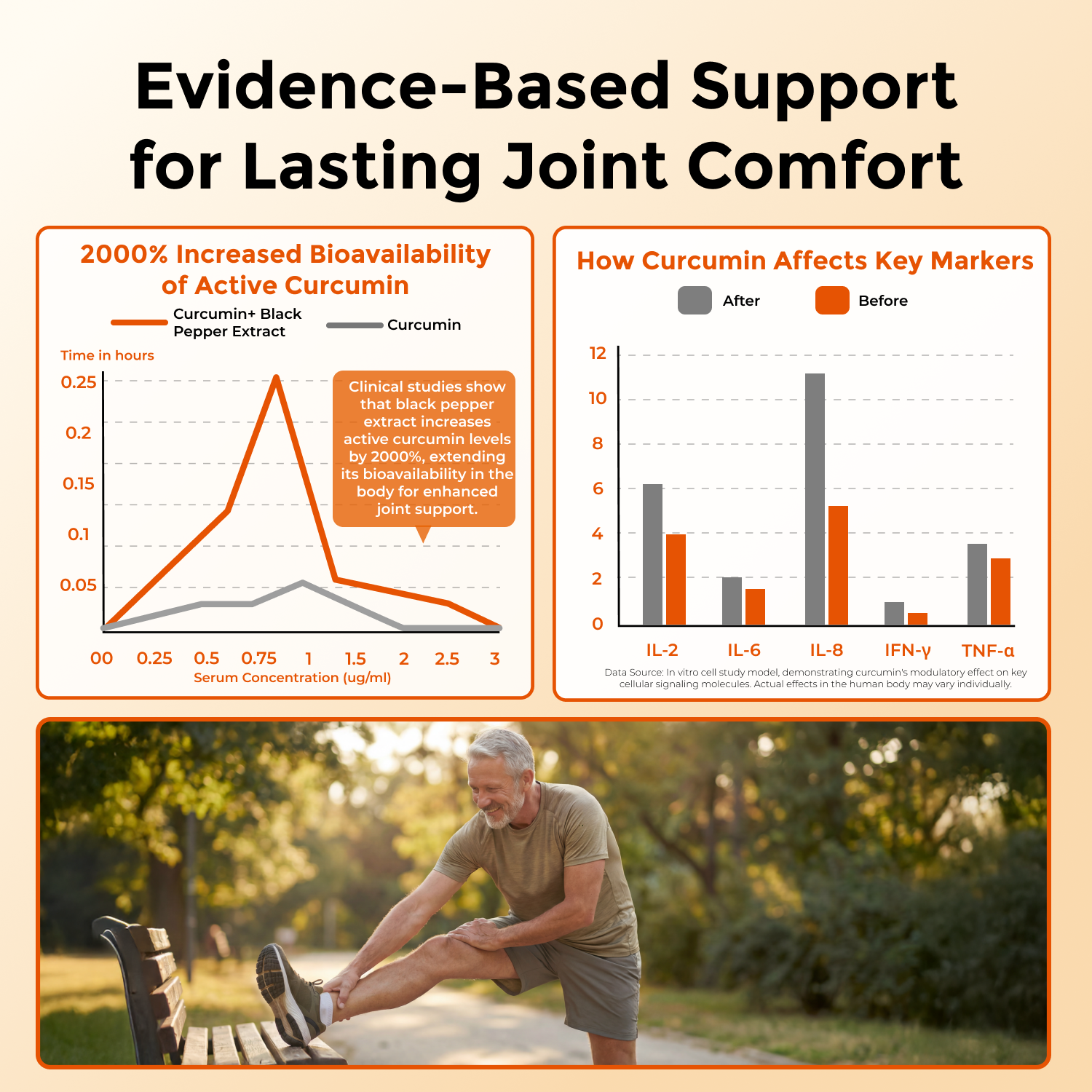 Turmeric Curcumin Supplement with Black Pepper & Ginger