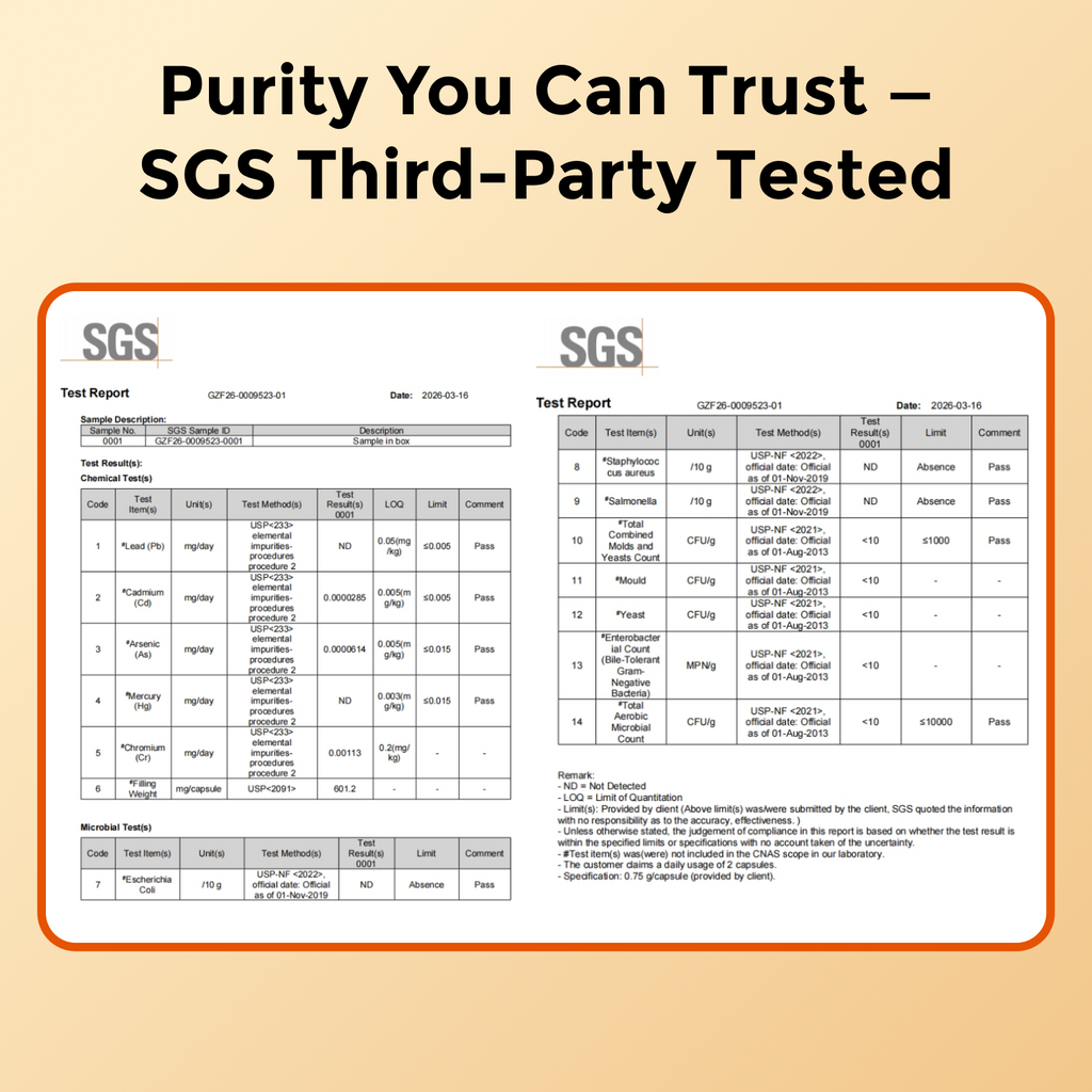 Turmeric Curcumin Supplement with Black Pepper & Ginger