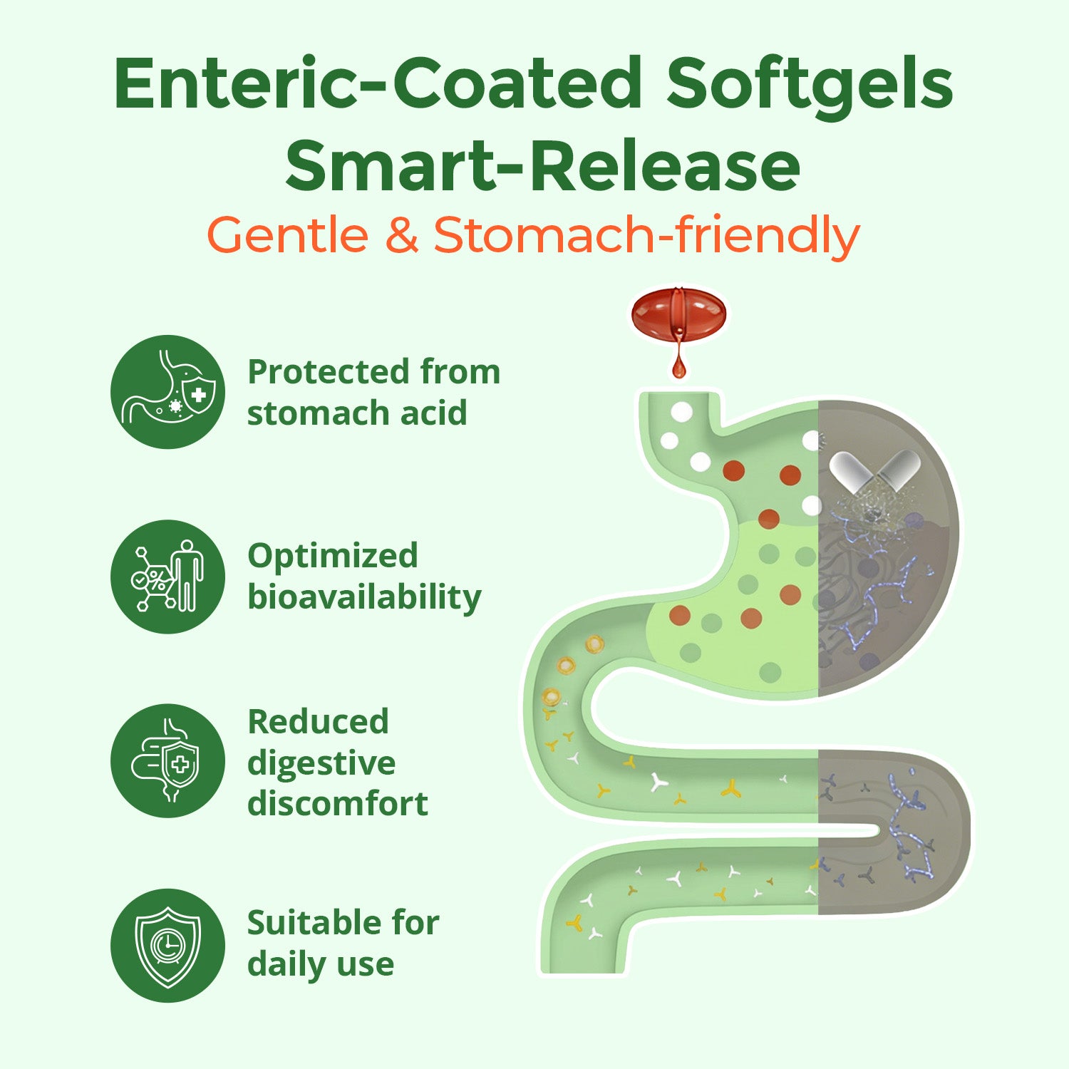 Oil of Oregano with Black Seed Oil Softgels, Vitamin D3