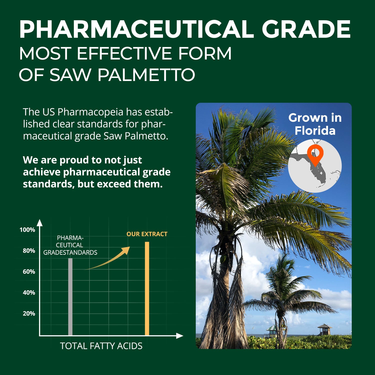 Saw Palmetto for Men Prostate Health