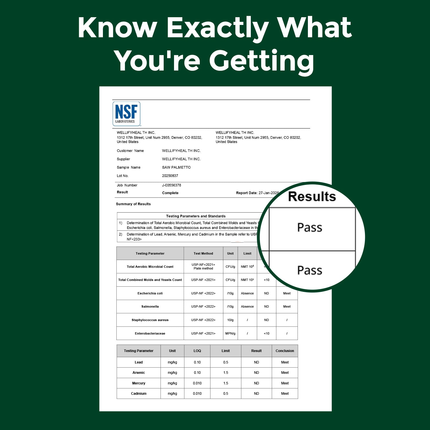 Saw Palmetto for Men Prostate Health